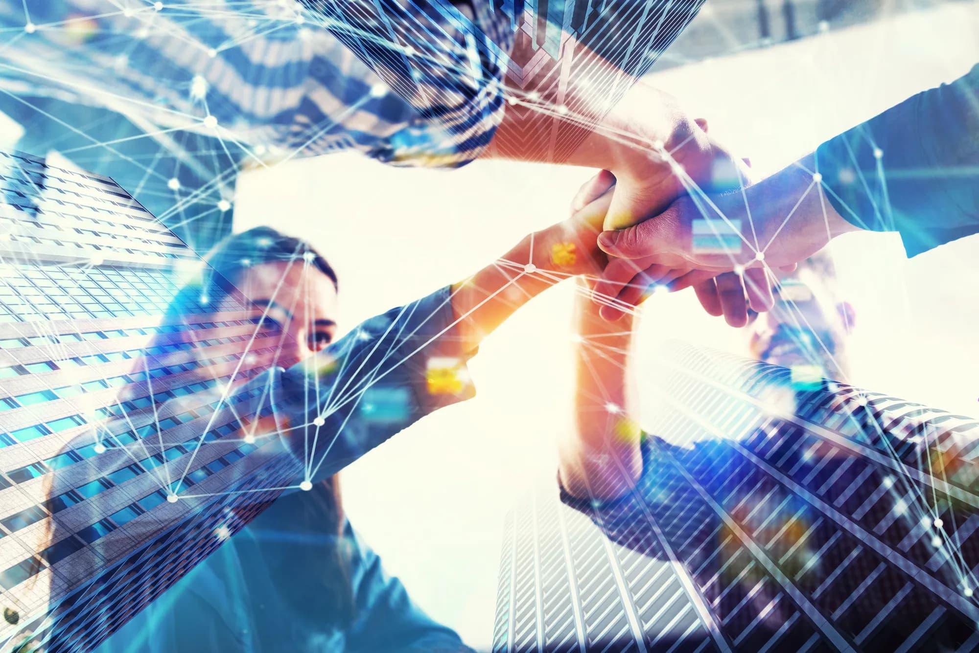 Alliance & Network