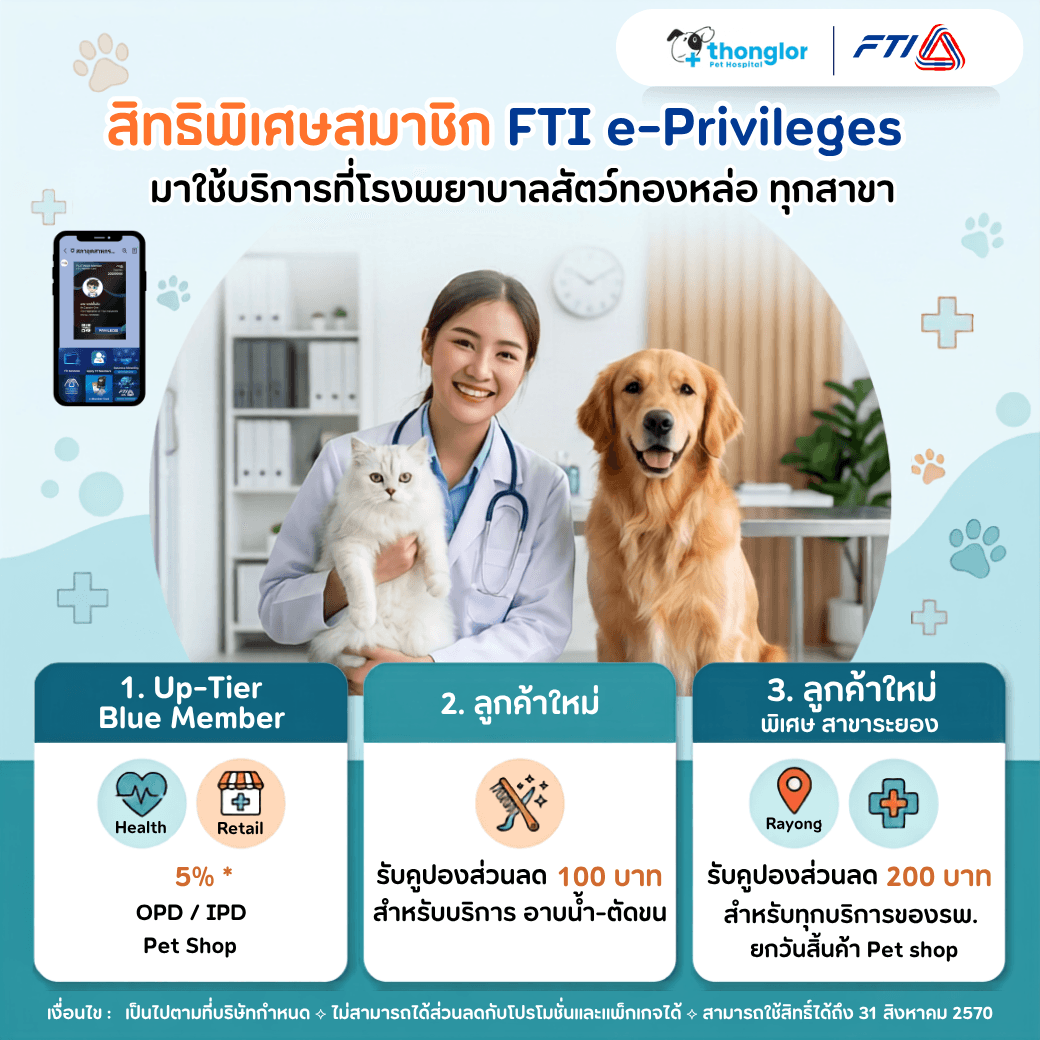 โรงพยาบาลสัตว์ทองหล่อ
