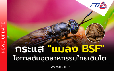 กระแส “แมลง BSF” โอกาสดันอุตสาหกรรมไทยเติบโต